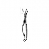 Extracting Forceps English Patern